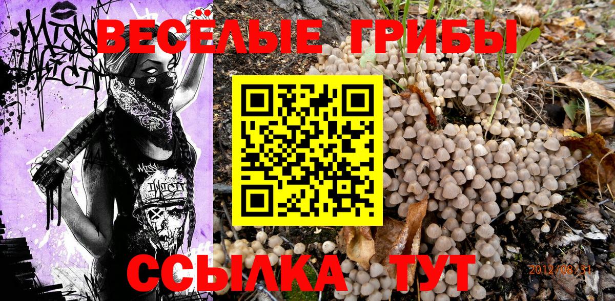 Псилоцибиновые грибы GOLDEN TEACHER Коломна